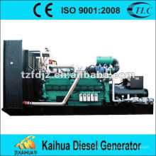 Generador de gas natural 800kw